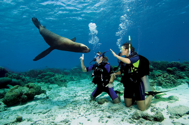 Scuba Classes - 