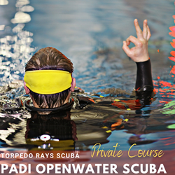 Openwater Diver (private, 1 On 1)