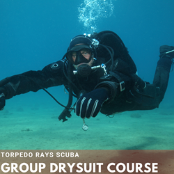 Drysuit Diver (group)