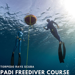 Freediver Course