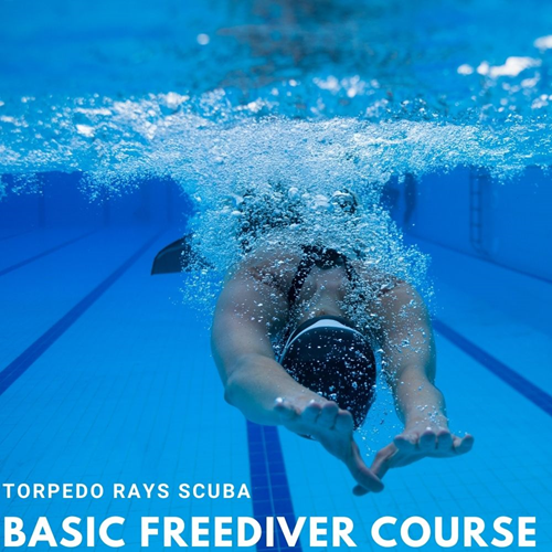 Freediver Basic Course