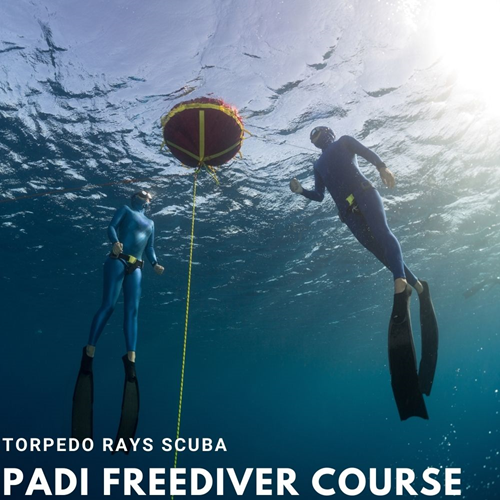 Basic to Freediver Upgrade Course *took basic here, not certified