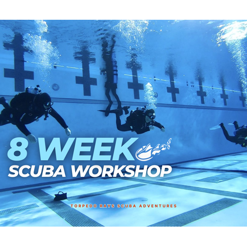8 Week Scuba Workshop