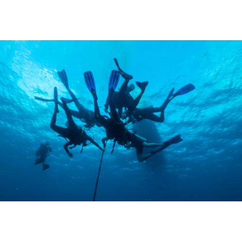 Cozumel Scuba Diving with Cozumel Dive Academy