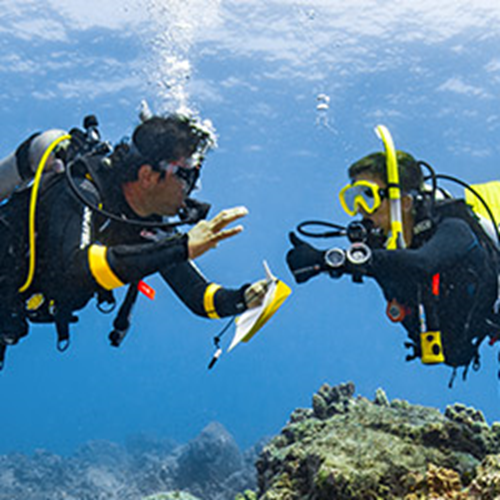 PADI Instructor Development Course