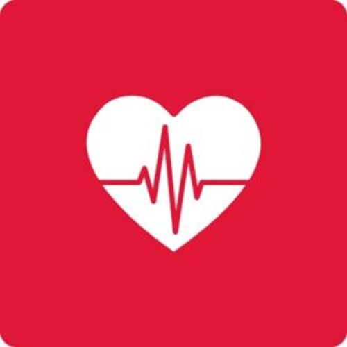 DAN BLS: CPR & FA IQC