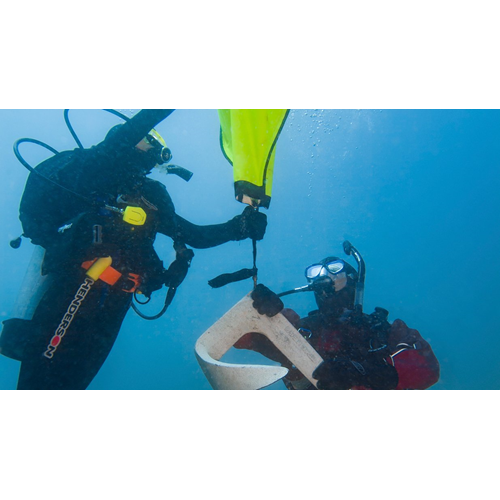 Search & Recovery Diver