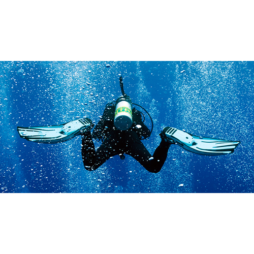 ENRICHED AIR DIVER - INC ELEARNING, INSTRUCTOR TIME, PIC