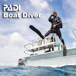 Specialty - Boat Diver