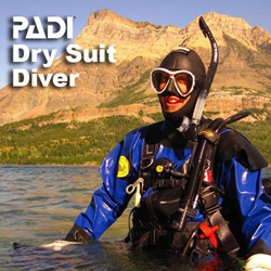 Specialty - Drysuit Diver Code+dives