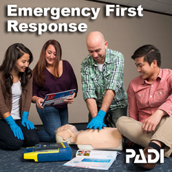 Emergency First Response - Traditional