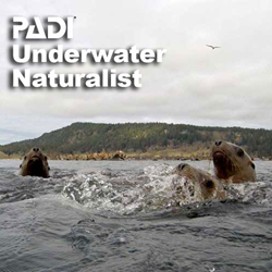 Specialty - Underwater Naturalist
