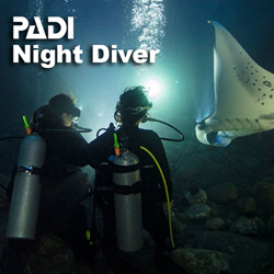 Specialty - Night Diver