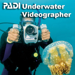 Specialty - Underwater Videographer