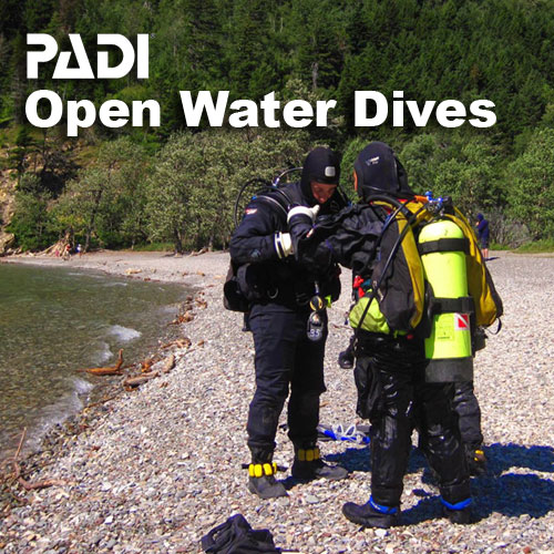 Open Water Diver - Checkout Dives