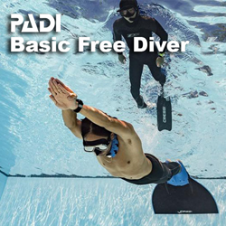 Freediver Basic Pool + Ecode