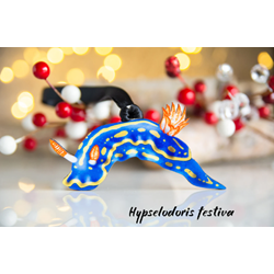 Hypseldoris Festiva Nudibranch Ornament