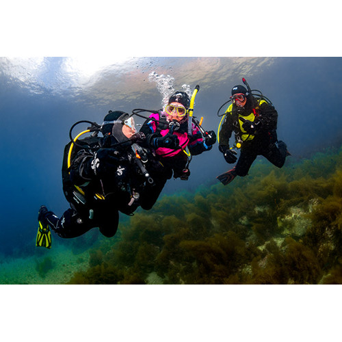 Professional Association of Diving Instructors