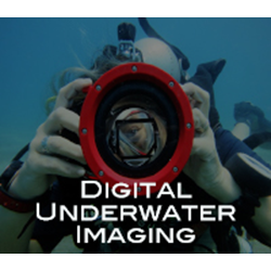 Digital Underwater Imaging