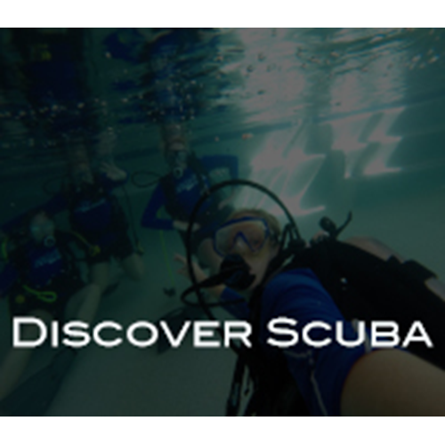 Discover Scuba - Scheduled