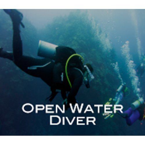 Open Water 3 Week M/W