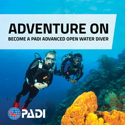 Advanced Open Water Diver Full Course