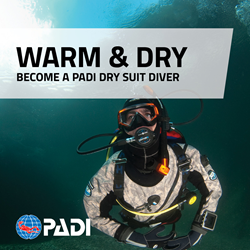 Dry Suit Diver With ELearning And Processing Fee