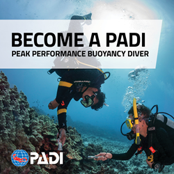Peak Performance Buoyancy With ELearning And Processing Fee