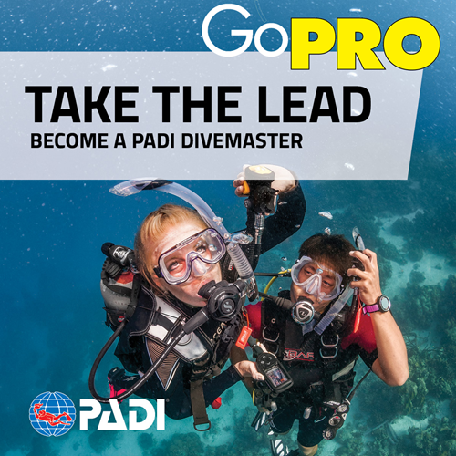 Divemaster Internship (All inclusive program)