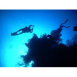 Deep Diver Specialty Course