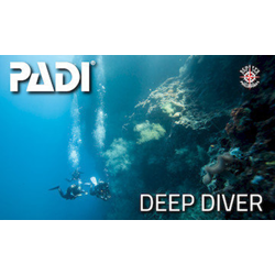 Deep Diver