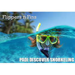 Discover Snorkeling 