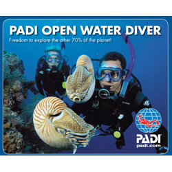 Discounted Open Water Diver On Trip