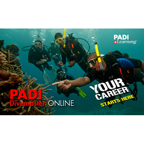 Divemaster