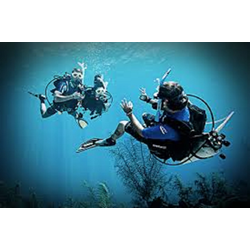 Elearning Dive Master