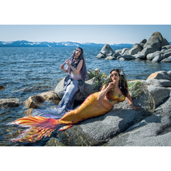 Dry Land Mermaid Photoshoot (2+ People)