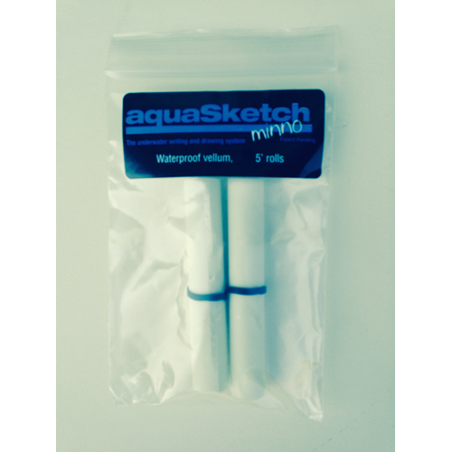 Blank 5 Foot Roll 2 Pack