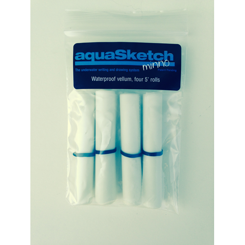 Blank 5 Foot Roll 4 Pack