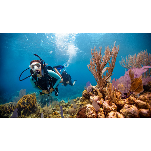 Open Water Diver - Deluxe