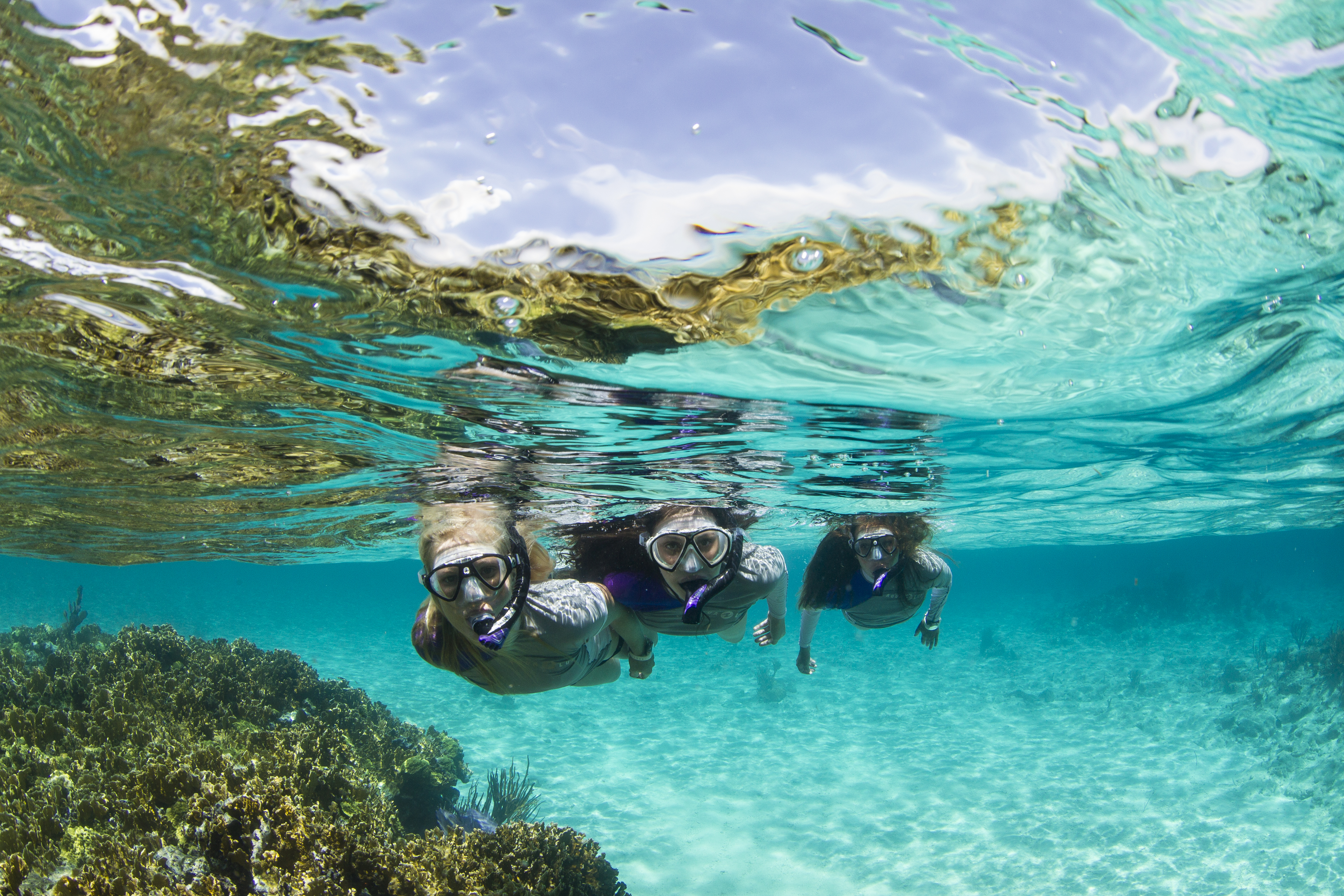Discover Snorkeling
