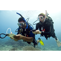 Advanced Openwater Diver W/book