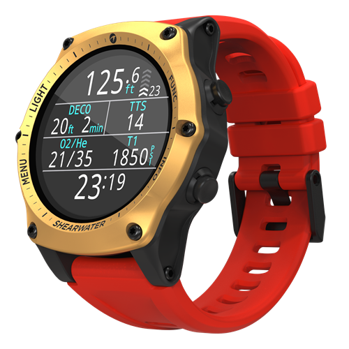 teric dive watch