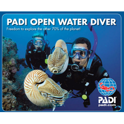 Padi Elearning: Open Water Diver