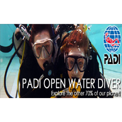 Openwater Diver Padi