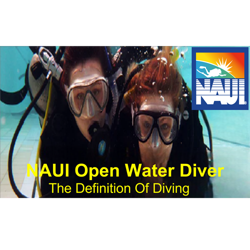 NAUI Openwater Diver - Online