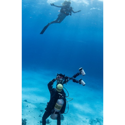 Underwater Photographer - Online